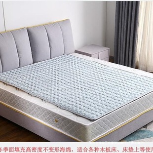 Yuteng Natural Double-Sided Mat Winter and Summer Dual-Use Single Student Dormitory Home Folding Ice Silk Mat Mattress New Style