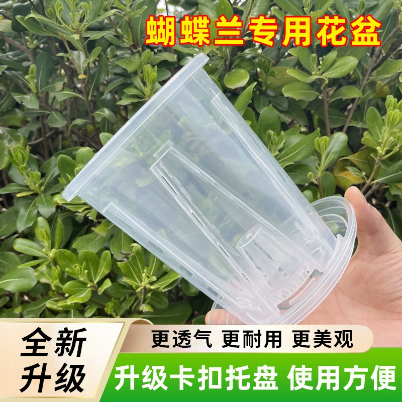 Прозрачная орхидея водяной мох фаленопсис специальный цветочный горшок пластиковый воздухопроницаемый нагрев дендробиум