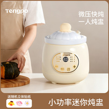 藤婆一人食迷你电炖锅小型炖盅陶瓷煲炖汤网红多功能煮粥神器家用