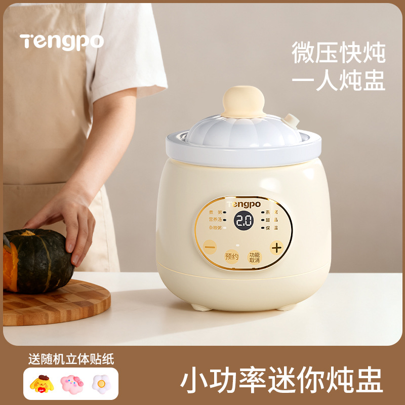 藤婆一人食迷你电炖锅小型炖盅陶瓷煲炖汤网红多功能煮粥神器家用