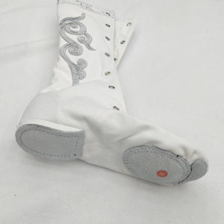 Zapatos largos botas de baile femenino lado mongol Flor botas de cuero zapatos de práctica de baile Xizango masculino zapatos de rendimiento de la etapa zapatos de práctica