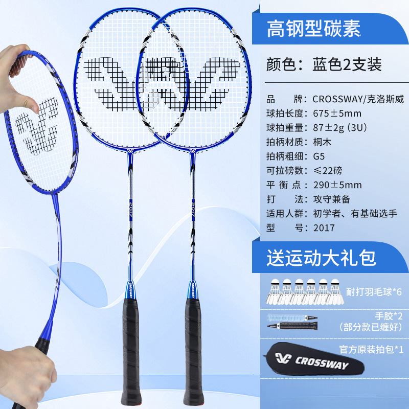 메인 사진 고급형 모델 [하이스틸 탄소 더블샷] 블루 - 무료 배드민턴 6개, 핸드글루 2개, 오리지널 라켓백 - 완성샷