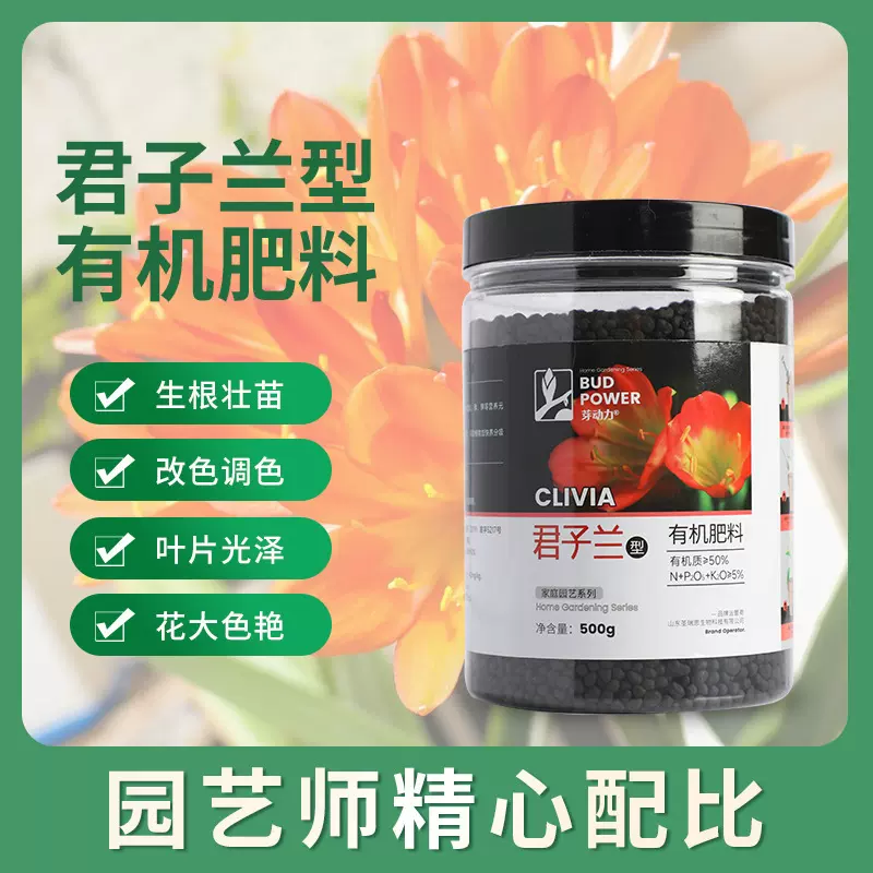 君子兰促箭专用肥料室内植物治黄叶不开花拔箭防夹箭生根兰花肥