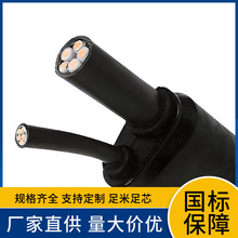 �~о���˱��zYFD-ZR-YJV YFZ-ZR-YJV��ȼ�A��֧�����| ���b����