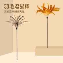 ��؈��؈�����ë���L�U���˽␞��؈؈��������Ʒ �������