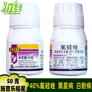 ʩ�՘����� 40%������ �����ǲ���轰׷۲����Ѻڶ���������