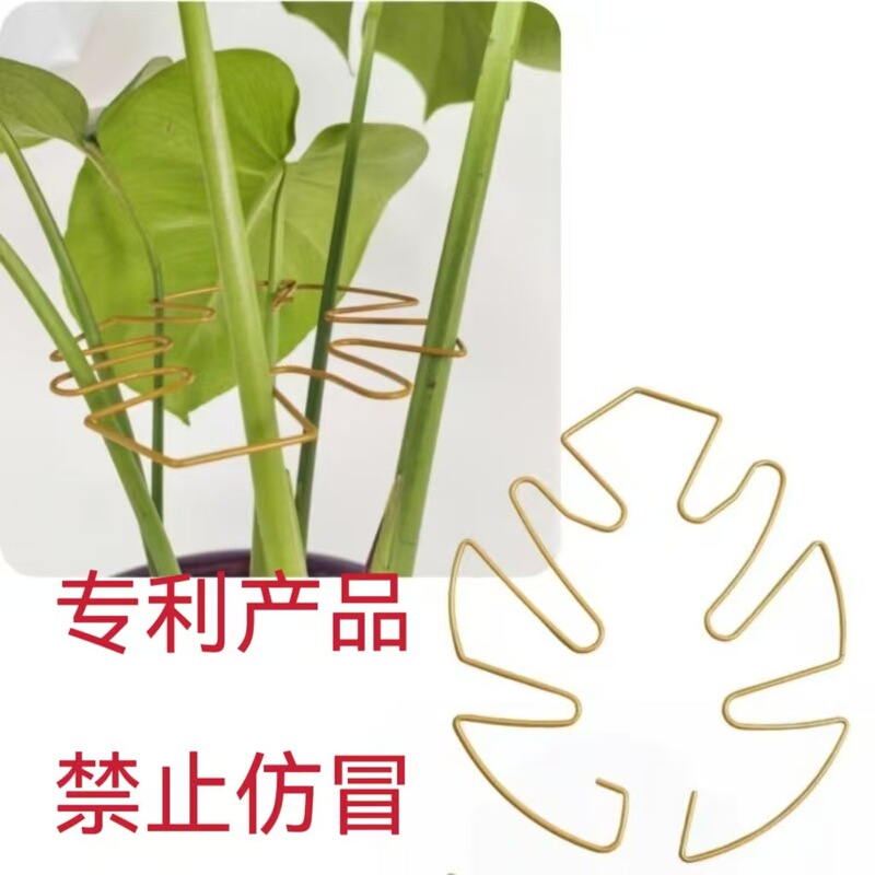Bambusa turtle plant support green plant anti-fall support support iron plant fixed support Amazon Bambusa turtle plant support green plant anti-fall support support iron plant fixed support Amazon