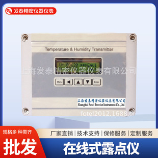 Shanghai Fantai FT60s-3X Online Dew Point Instrument 304 Stainless Steel Temperature and Humidity Dew Point Sensor Dew Point Instrument