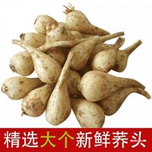 ���r�w�^���r�w�^�r���ԷN�w�^ˊ�^���w�^�߲��ļ����l���^�����N