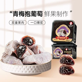 梅类;瓜子;其他果干蜜饯