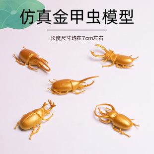 ��̖�����ɫ���xģ�ͪ������@���x�Lꪑ�����x��ͯ��̾����