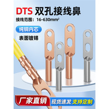 DTS双孔铜鼻子冷压铜接头铜线耳双眼铜接线端子级镀锡120