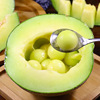 Hainan Netted melons fresh muskmelon Muskmelon Season fruit One piece On behalf of