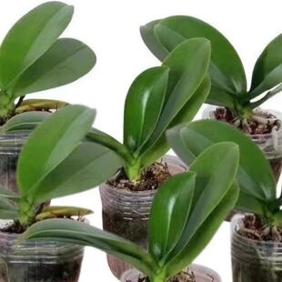 �����m�����ļ����B�҃��̨�k�������ԾGֲ���ܺ��B���������