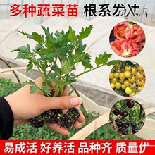 �m������t���緬�����}Ů�����������߲�������������������ˮ��