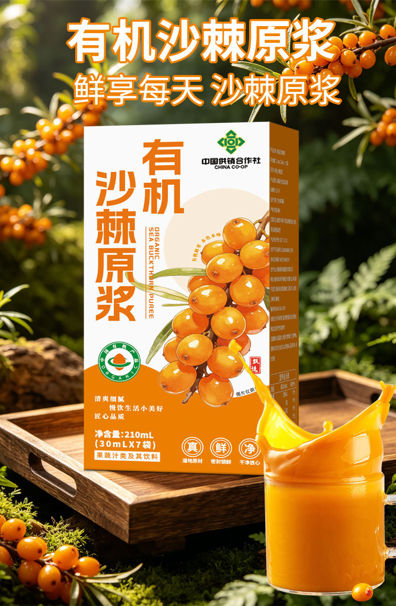 Organic Sea Buckthorn Puree Sha Ji 210ml Concentrated Juice Single Box quality and texture