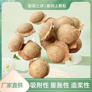 ������ ճ���� �����w�� ��Óʯ ��Ó�� 荾��옪����