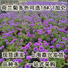 �ļ����m�ջ�������С���_�ذ�������С��������ͺ��͟��޸���