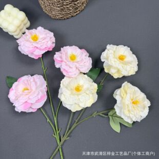 �¿�3�^�\��ĵ�����滨�ͮ�ɫ��c��Y·���廨�����쾰�b����l