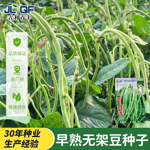 �o���ļ����N������߮a���ǷN���߲������Բ˶��ض�����ܱⶹ�N