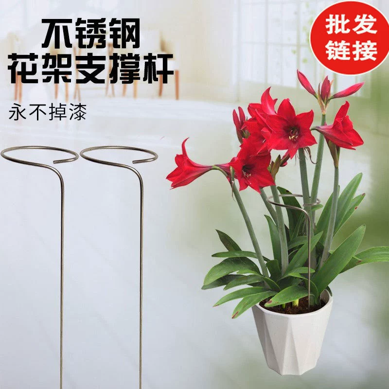 Подставка для цветов Стержень для поддержки растений Стержень из нержавеющей стали Подставка для цветов Антипадающая Роза Орхидея Внутренняя и наружная фиксированная подставка для цветов