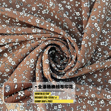 涤杨柳皱法式小碎花 外贸尾单 春夏衬衫裙子面料