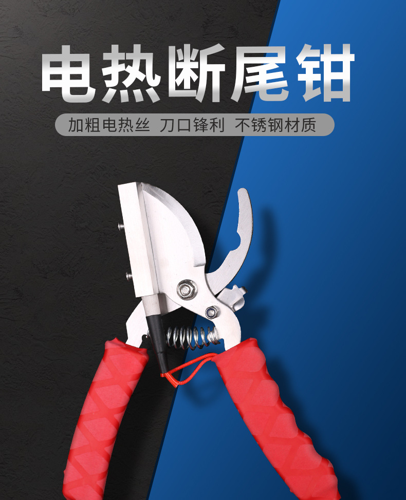 7详_01.jpg