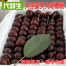 【过季别拍，明年再来】大连美早金鼎红樱桃现摘现发大连樱桃现货