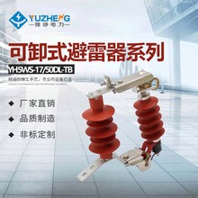 ԥ���S�ҳ���HY5WS-17/50DL-TB����ʽ�]������ ���ᱬʽÓ�x��