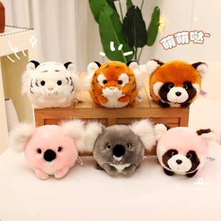 ��ͨ�A����﹫����ܿ���ë�q��߄���@�o��Ʒ��ͯ��ܿ������