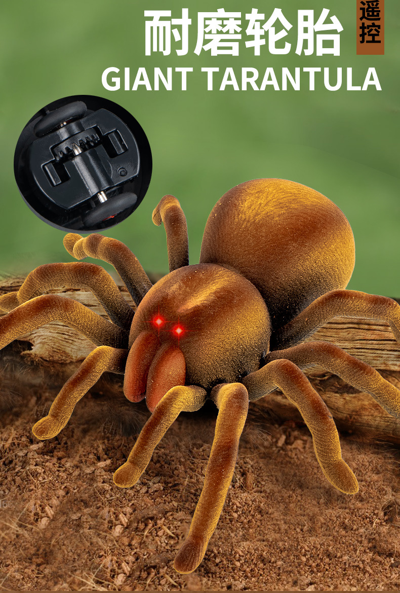 O1CN01qzTWse1WrgQvC59kH_!!2350212842-0-cib.jpg?__r__=1676771732713