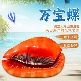 �f�����Ĵ������ղ��ͶY�Ҿ��b����쾰�[������ؐ���S�����l