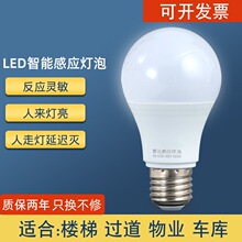 led人体雷达感应灯泡声光控球泡110v220V物业过道楼梯感应灯批发