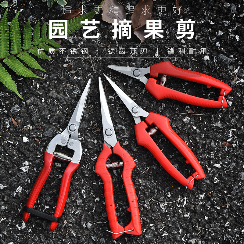 不锈钢修枝剪树枝剪摘荔枝龙眼剪刀园林果树花卉嫁接园艺剪刀工具