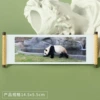 Panda 104