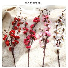 �������赸��֦���ߺ�����Ӱ���û���÷��֦�l�һ���̨����