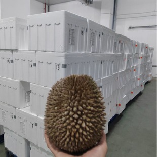 �R�������M��D101�t����ɏҺ�������������ˮ���������l���l4�^
