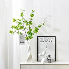 ins���W�Lˇ�g�F�����s�[���Ƶ�Ӱ��g��ƿ�����մɹ�ˇƷ�b�