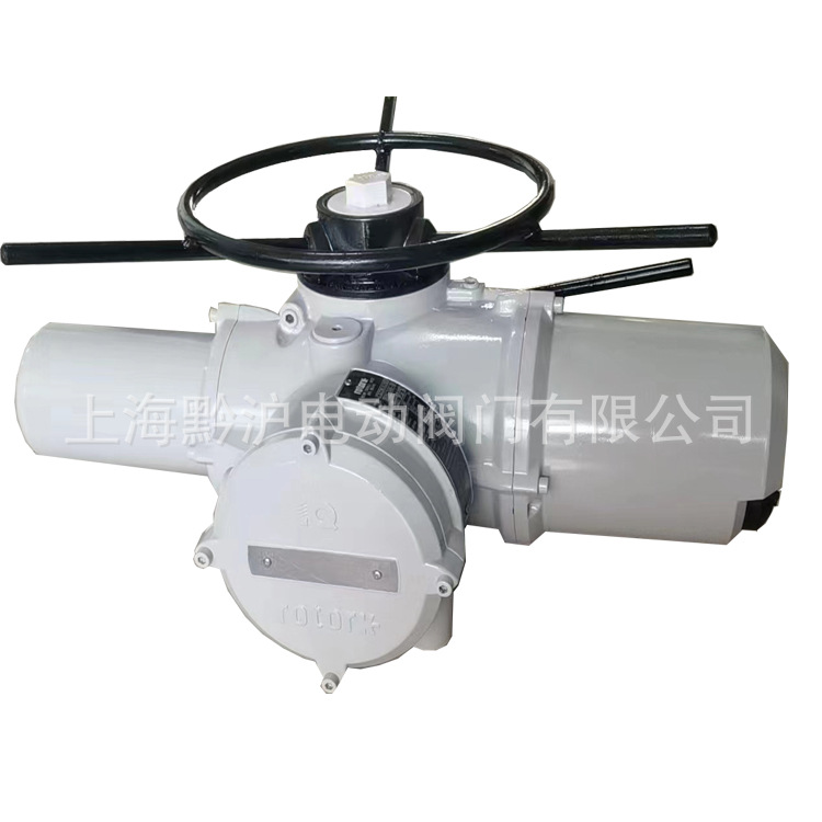 原装进口阀门电动执行机构 IQ95F14-B4Z多回转罗托克智能执行器