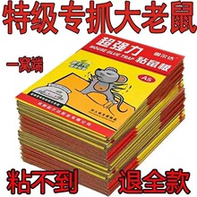 ������ճ���׽ץճ�������N�����z�粶���������Ǽ���һ�C��