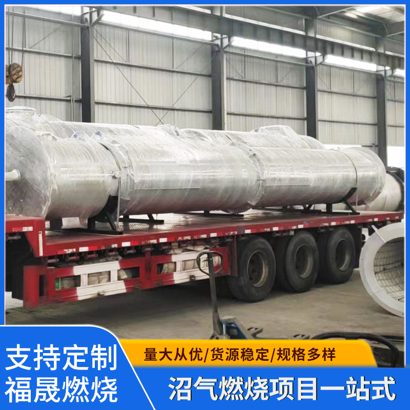 沼气过滤器 沼气火炬沼气燃烧器有机废气处理成套设备 处理设备