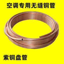 T2���~�P�� ���{�����������ܛ�~�� �������~�P�� Ó֬���~�P��