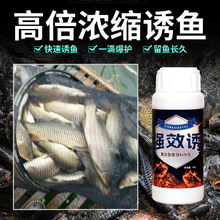 谷道香 虽效诱复合型鱼饵料伴侣钓鱼小药野钓黑坑鲫鲤草 鱼饵开口