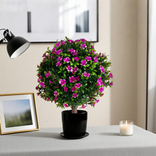 ����ز嶡�㻨�Gֲ���Լ٘�ͥԺ�����̈���������b[���S����