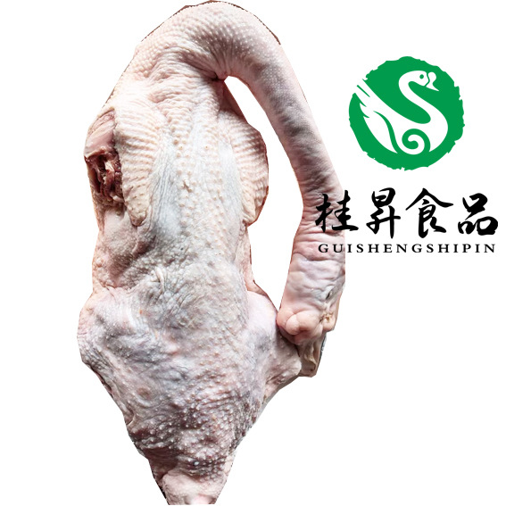 新鲜狮头鹅壳、鹅掌翼