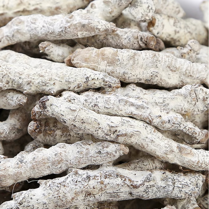 白僵蚕大货中药材批发云南白僵虫天虫姜蚕姜虫炒僵蚕粉疆蚕中草药