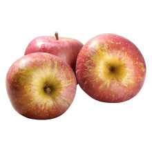 云南昭通丑苹果当季苹果包邮产地直发新鲜丑苹果一件代发