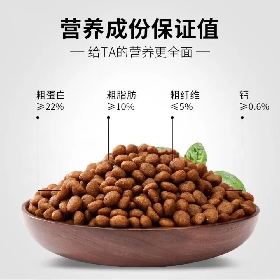 31cf3cc2-cab9-4523-bf03-97908c10a742.jpe