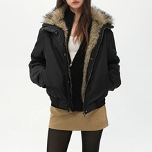 25�����h��ë�q�I��đ�ذ��Ӻ��ɿ˷�������