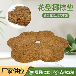 �S�����l����Ҭ�؉|�w�������w���g�_�׾Gֲ������������؈ץ����